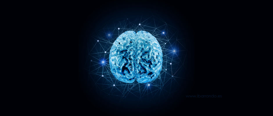 cerebro en ibarrondo.es