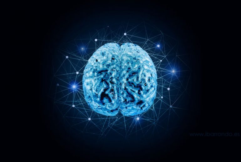 cerebro en ibarrondo.esq